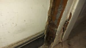 Dampness Can Damage Internal Finishes And Structural Supports