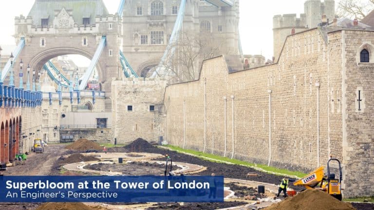Superbloom At The Tower Of London